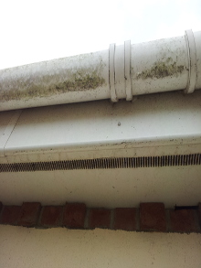 Before cleaning Gutters and Fascia